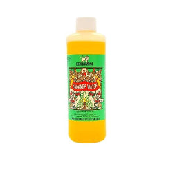 Benjamins Kananga Water 8 fl oz